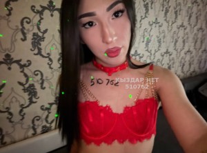 Транс Астаны Анкета №510762 Фотография №3820098