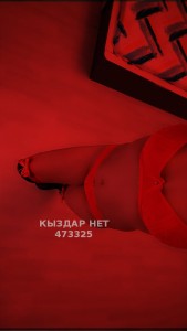 Проститутка Петропавловска Девушка№473325 Илонна Фотография №3822694